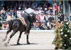 Pferd International 088